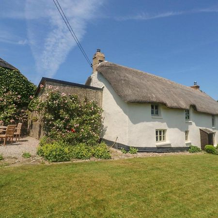Langstone Farm Villa Okehampton Kültér fotó
